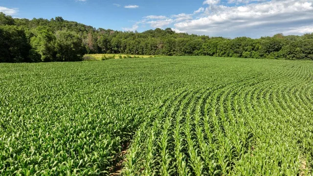 $1,476,000 | 0 Hammer Road, Sparta, WI 54656