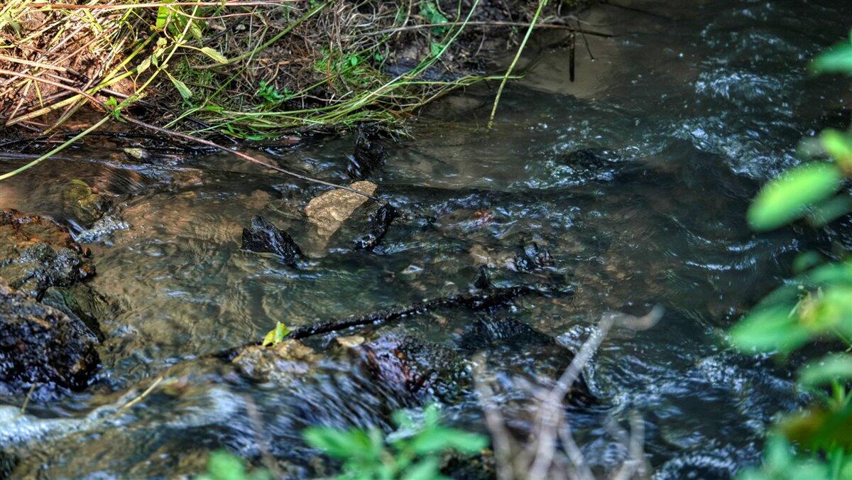 0 Hammer Road Sparta, WI 54656 - Photo 61 of 61 63-DSC00906_4