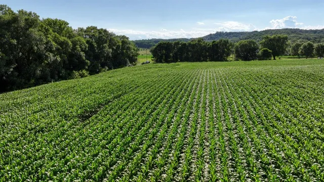 $1,476,000 | 0 Hammer Road, Sparta, WI 54656