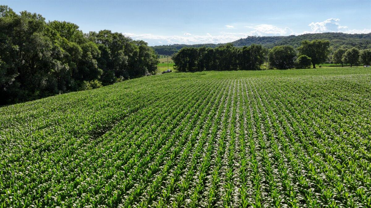 0 Hammer Road Sparta, WI 54656 - Photo 8 of 61 07-DJI_0656_7