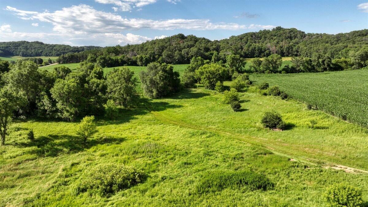 0 Hammer Road Sparta, WI 54656 - Photo 9 of 61 08-DJI_0663_8