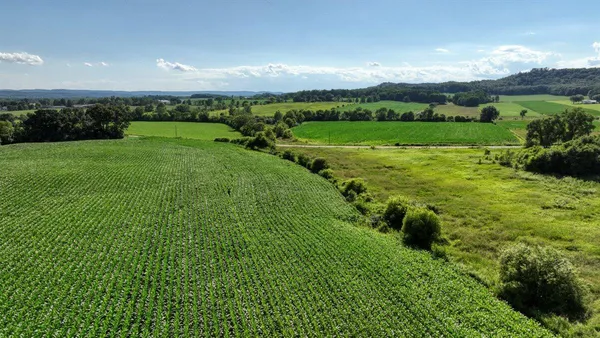 $1,450,000 | 0 Hammer Road, Sparta, WI 54656