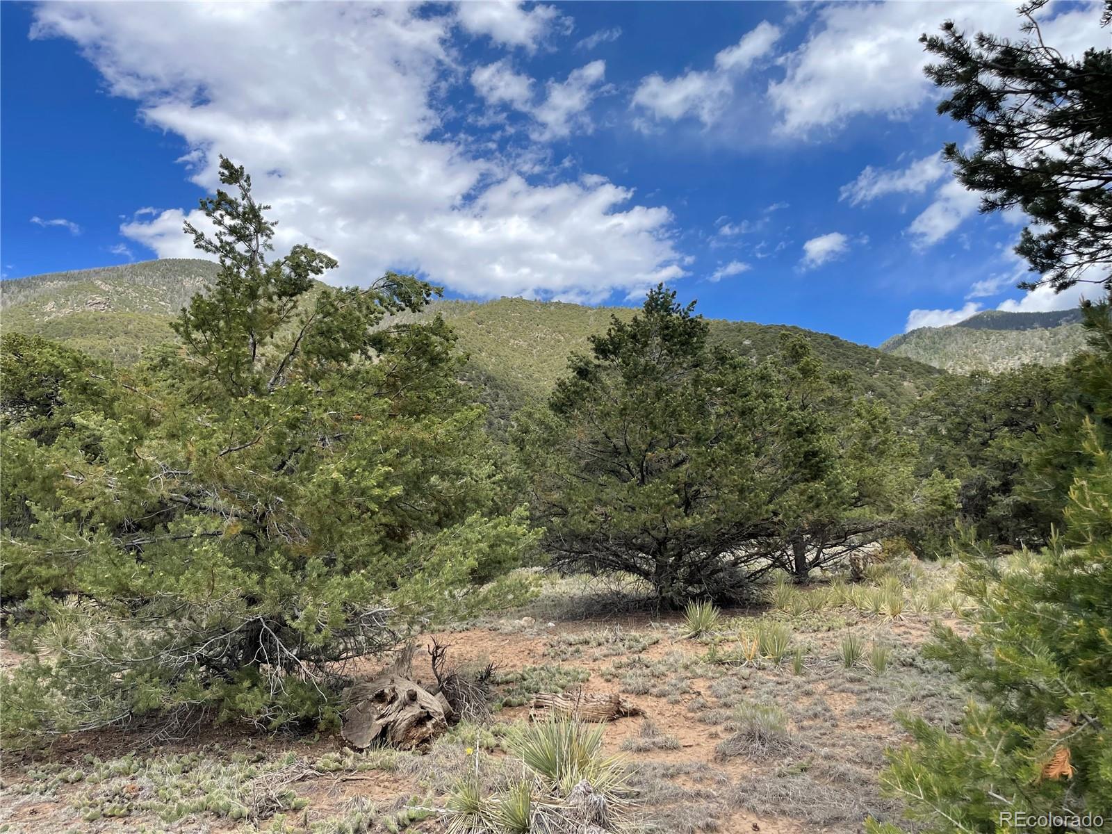 4303 Fallen Tree Way Crestone, CO 81131 - Photo 2 of 19