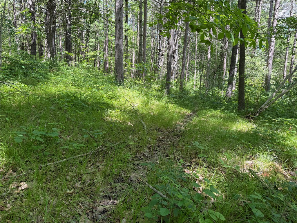 Vl Catatunk Road, Unit R Canisteo, NY 14823 - Photo 32 of 50