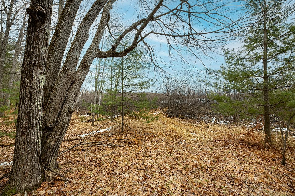 Off Moen Lake Road Rhinelander, WI 54501 - Photo 20 of 23 Gallery Image 20