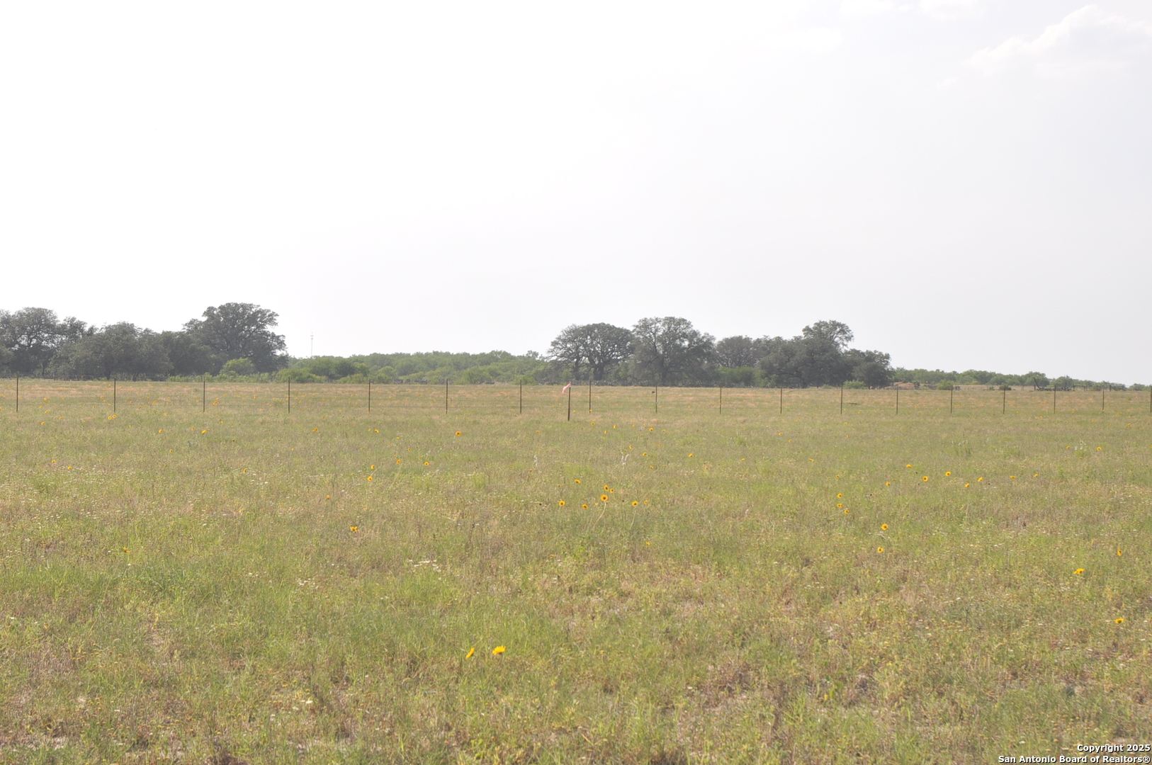 Tbd Cr 777 Devine, TX 78016 - Photo 4 of 9