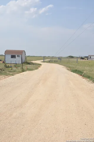 a view of a yard with a tree