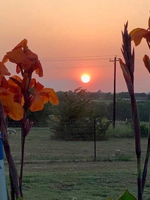 2267 County Road 4010 Decatur, TX 76234 - Photo 5 of 37 Sunset