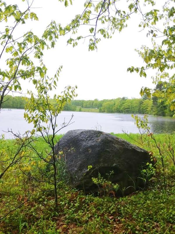 5 Shore Rd Summit Lake, Unit LOT 5 Summit Lake, WI 54485 - Photo 21 of 22 Gallery Image 21