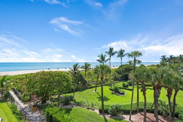 a view of a patio with chairs and plants