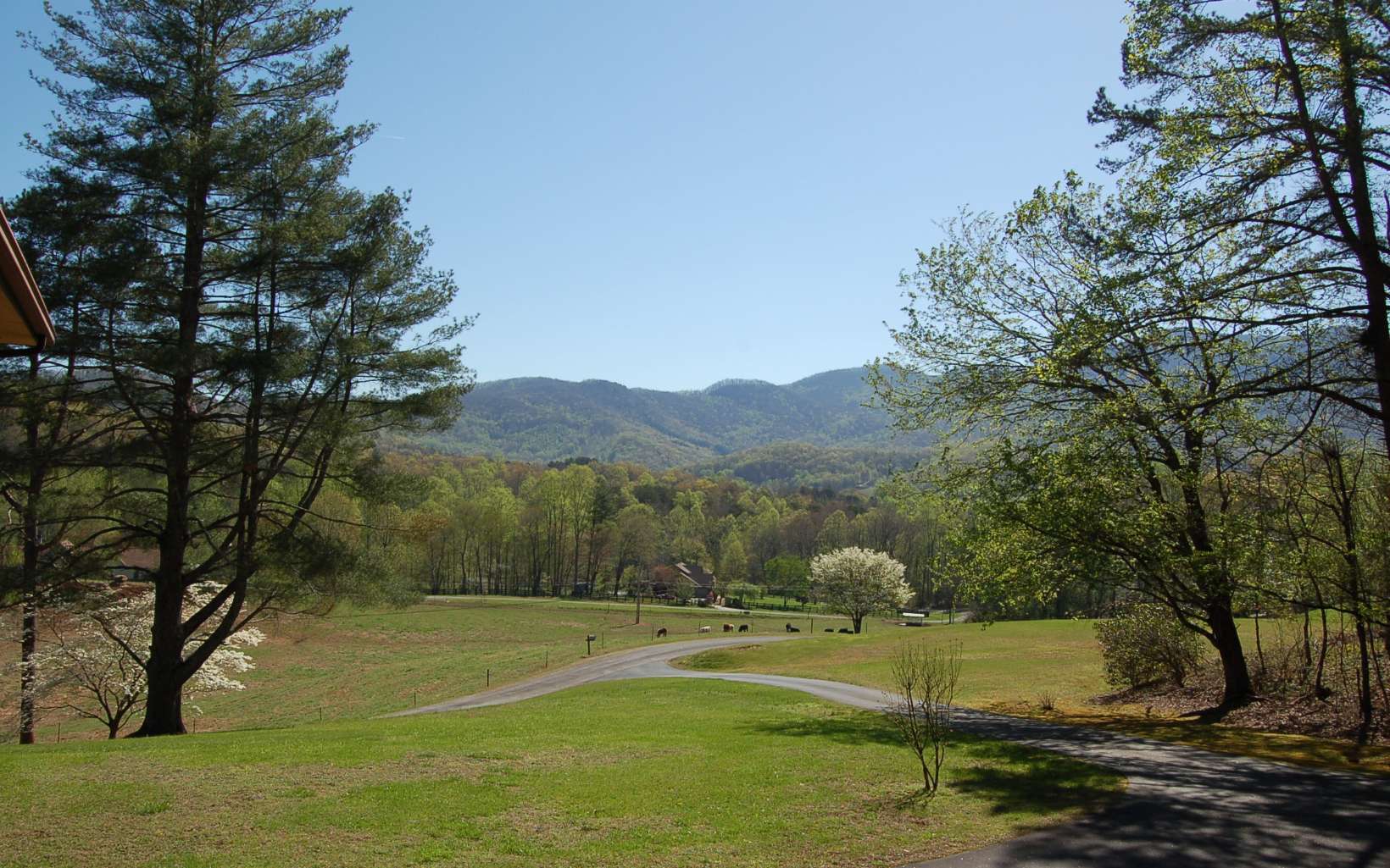 2663 Penland Road Hiawassee, GA 30546 - Photo 11 of 41 Additional View
