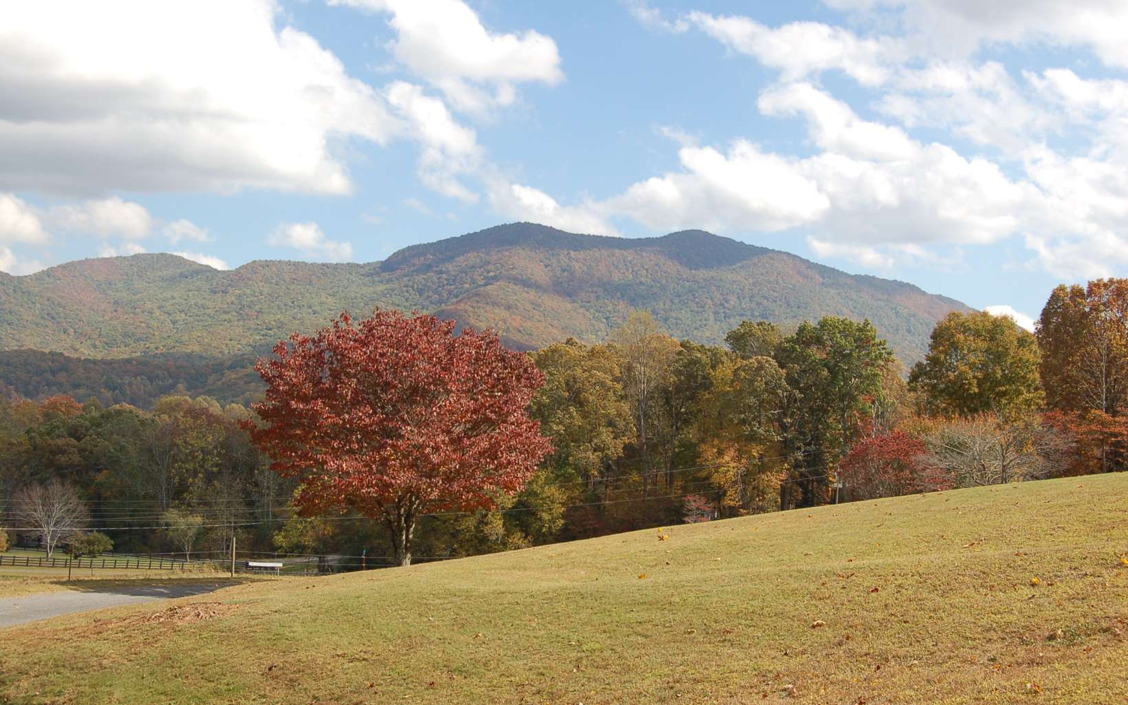 2663 Penland Road Hiawassee, GA 30546 - Photo 20 of 41 Additional View
