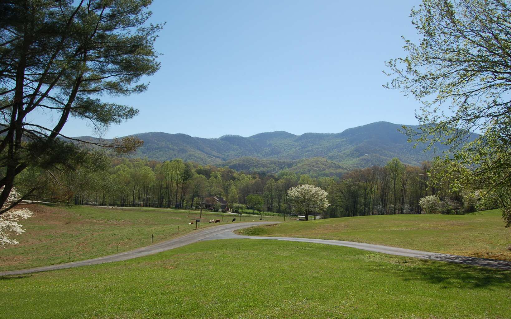 2663 Penland Road Hiawassee, GA 30546 - Photo 2 of 41 Additional View