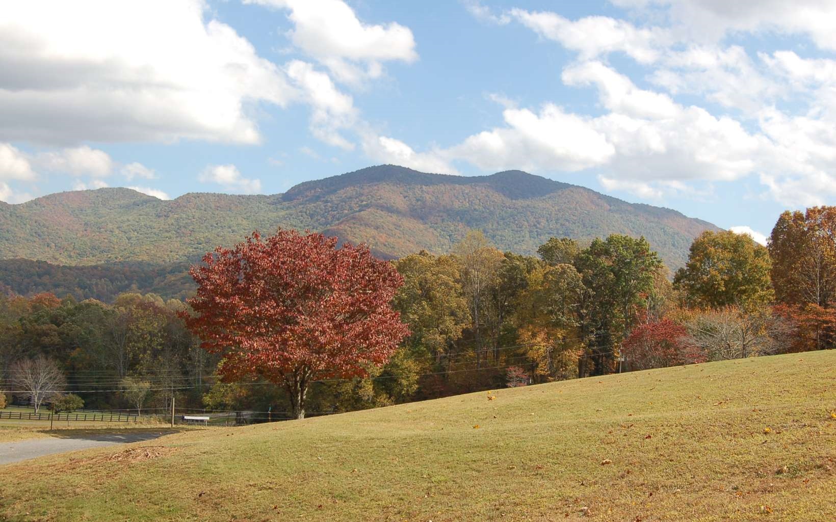 2663 Penland Road Hiawassee, GA 30546 - Photo 36 of 41 Additional View