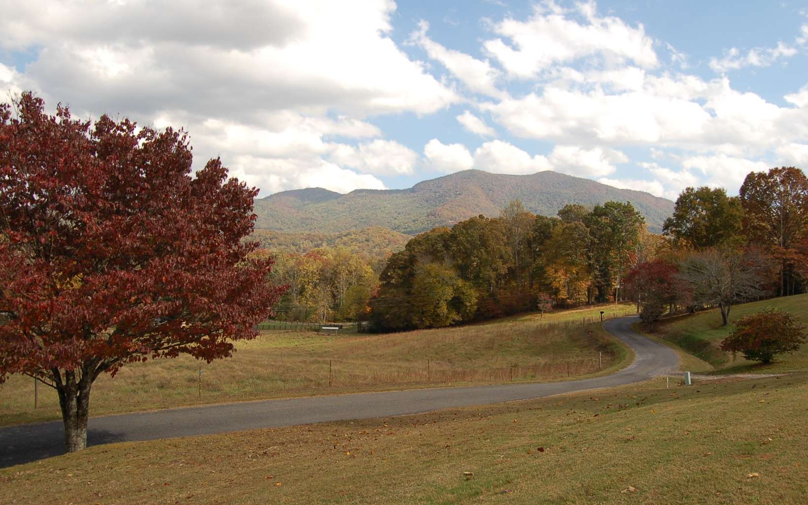 2663 Penland Road Hiawassee, GA 30546 - Photo 40 of 41 Additional View