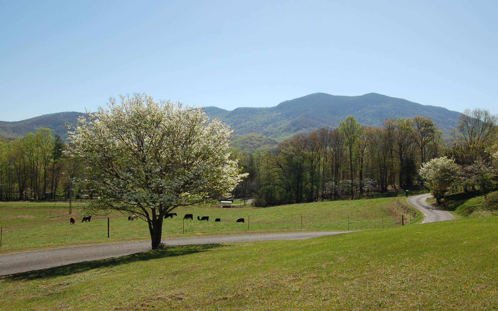 2663 Penland Road Hiawassee, GA 30546 - Photo 5 of 41 Additional View