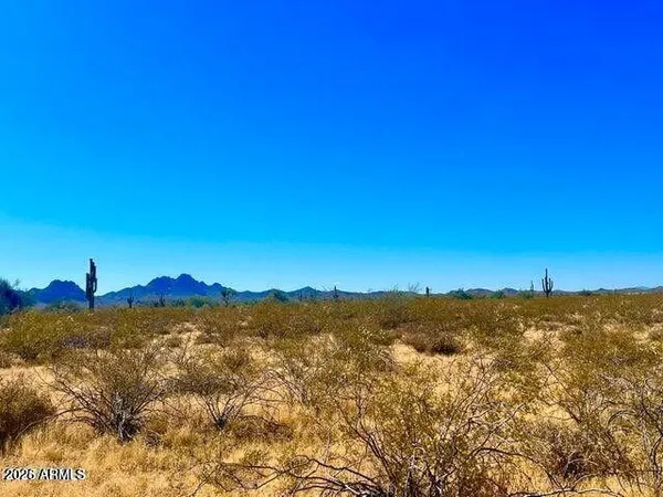 $60,000 | 0 West Delores Road, Unit 173 & 174, Wittmann, AZ 85361