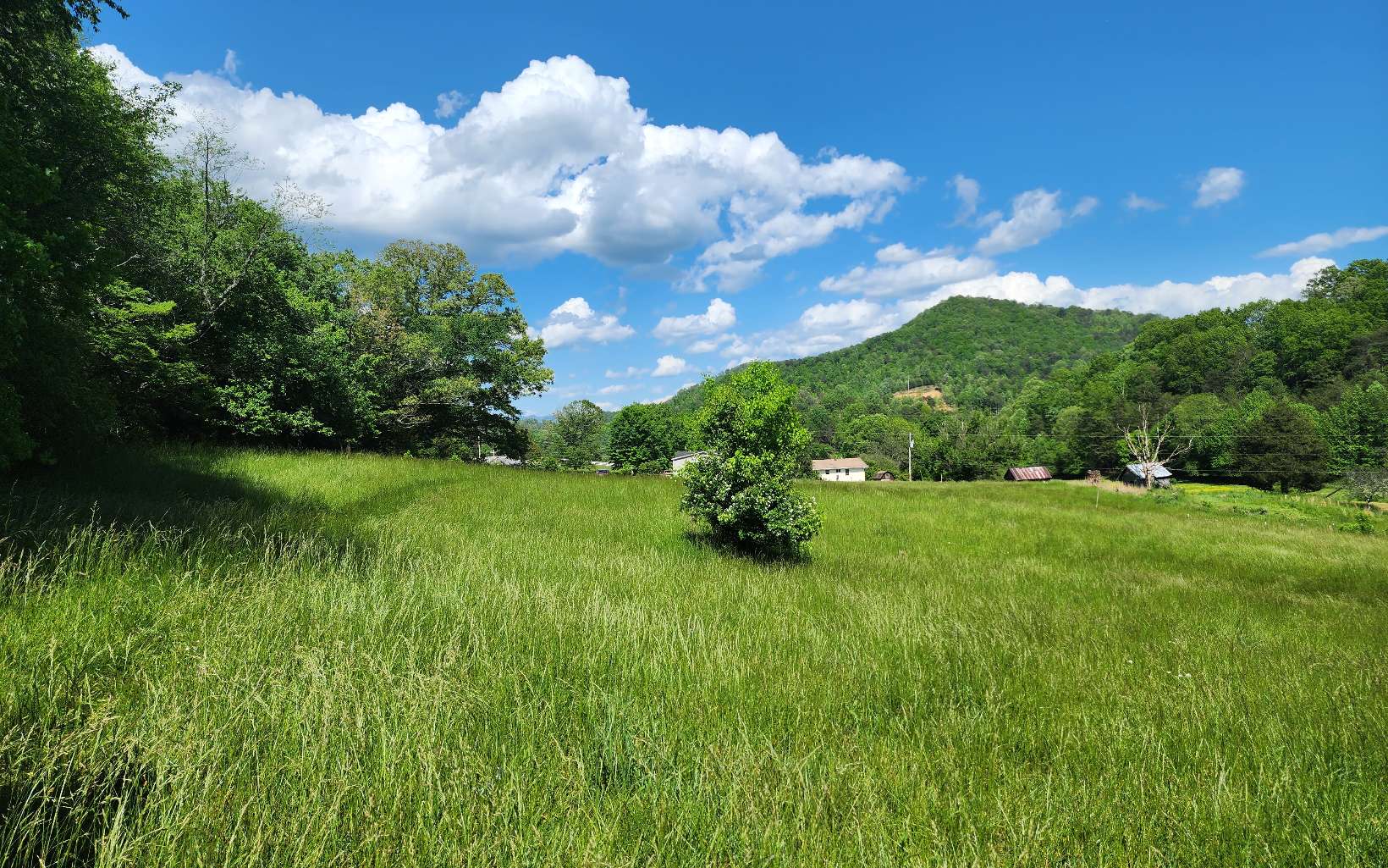 Carter Cove Road Hayesville, NC 28904 - Photo 12 of 13 Additional View