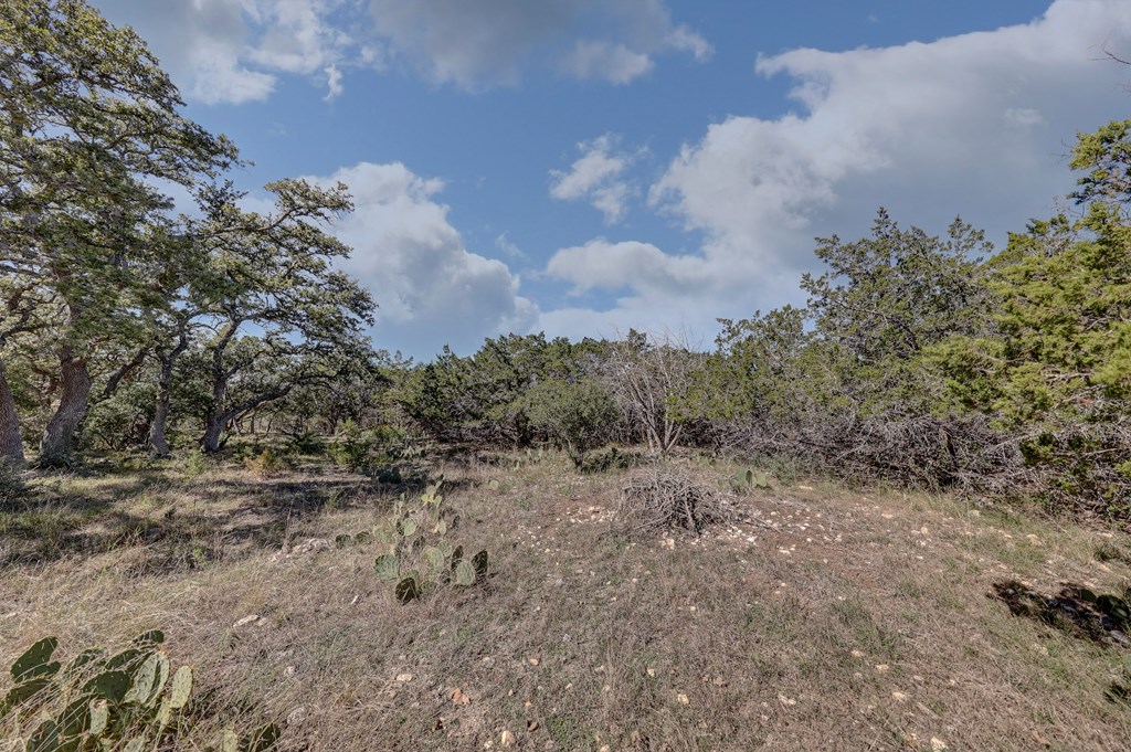 506 Sumack Kerrville, TX 78028 - Photo 3 of 12