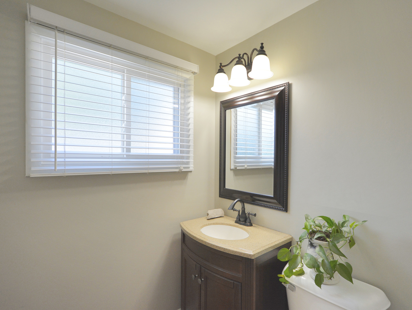 100 Ambleside Road Des Plaines, IL 60016 - Photo 13 of 15 a bathroom with a sink a mirror and a window