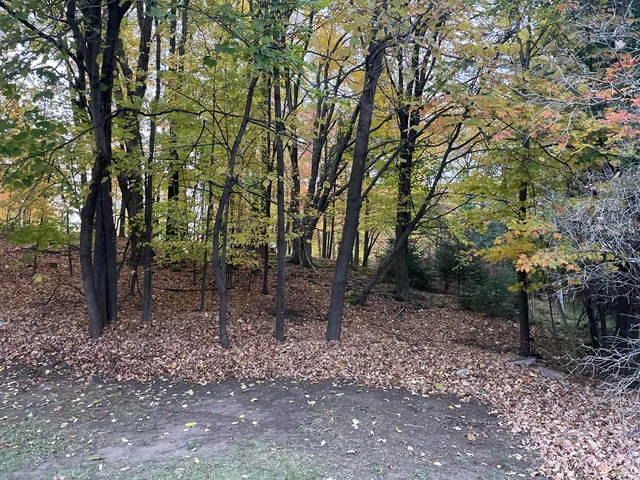 $150,000 | 973 Forest Street, Niagara, WI 54151