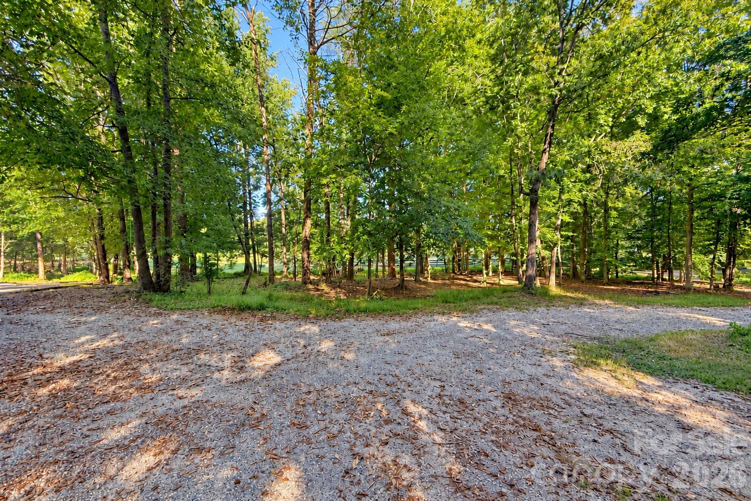 150 Rabun Run Columbus, NC 28722 - Photo 3 of 28 Gallery Image 3