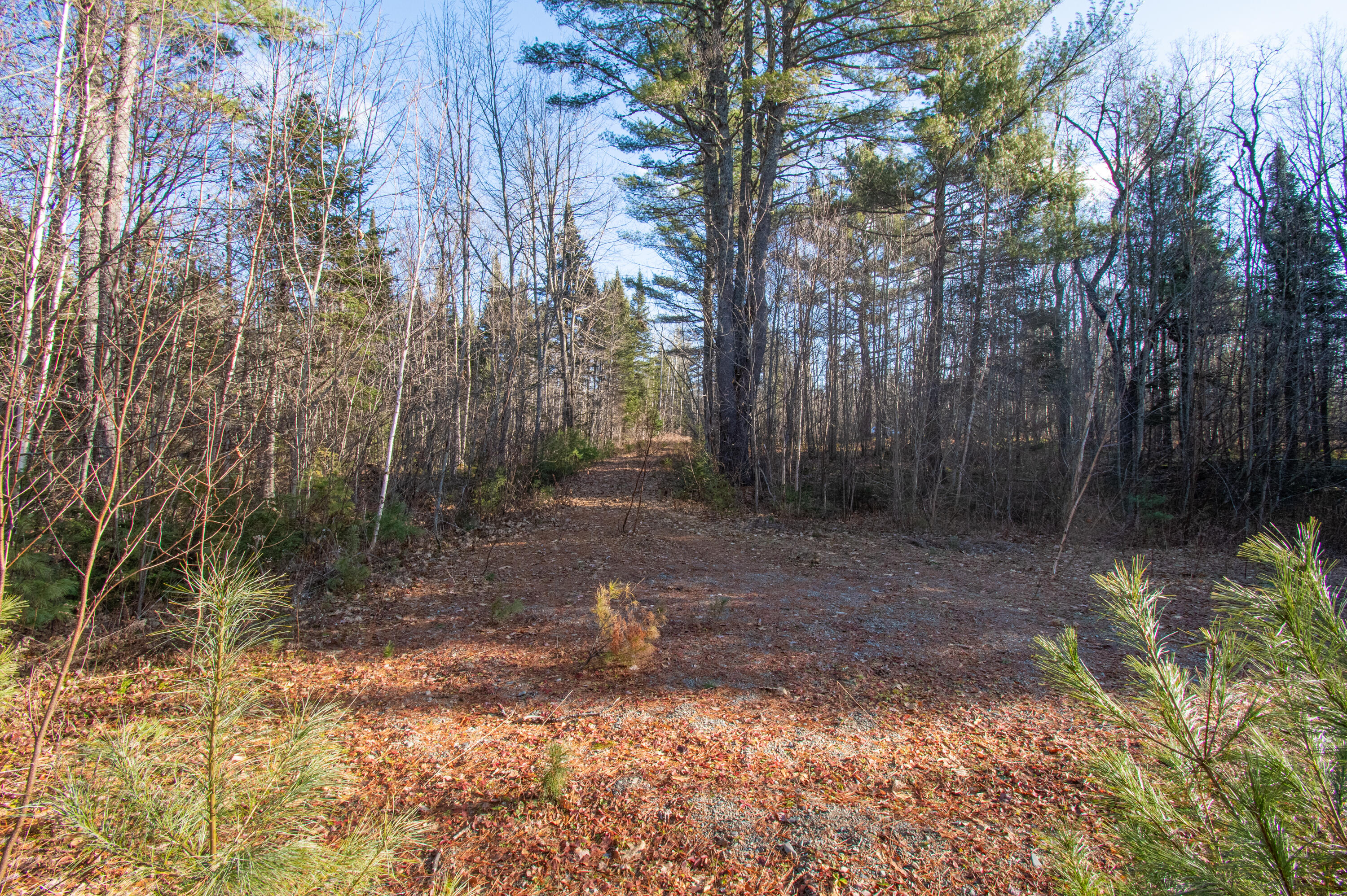 60 Rivers Edge Lane Howland, ME 04448 - Photo 13 of 39 Lot11RiversEdgeLn.Howland-04-2