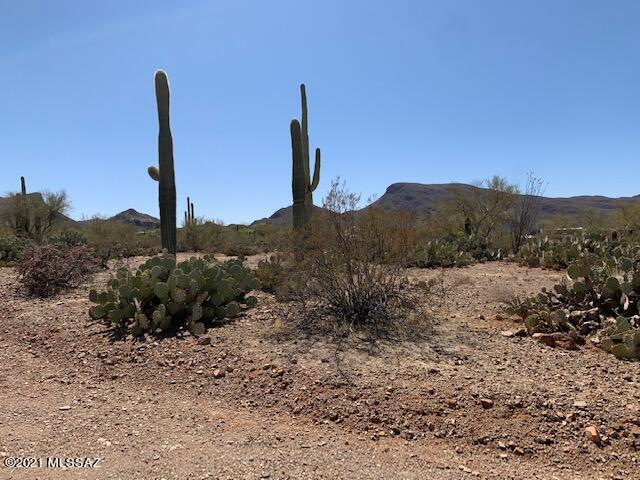 7089 West Ina Road, Unit 2 Tucson, AZ 85743 - Photo 8 of 12