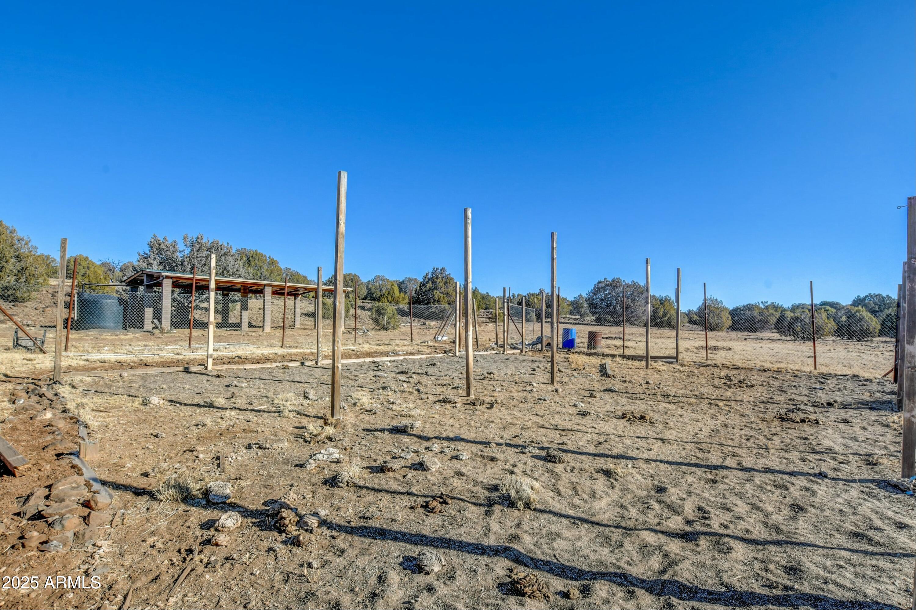 10777 West Raging Crab Road Seligman, AZ 86337 - Photo 33 of 45 Garden fencing