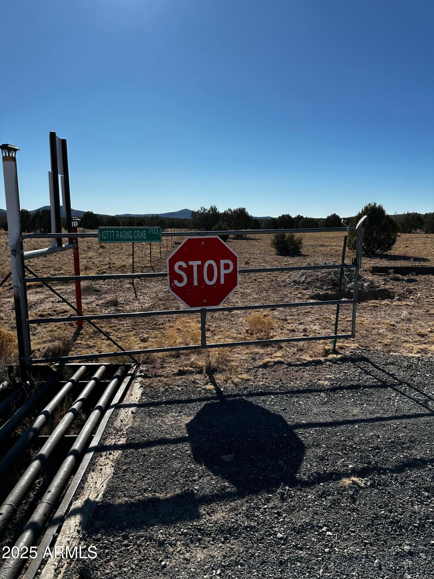 10777 West Raging Crab Road Seligman, AZ 86337 - Photo 40 of 45 Gate to property