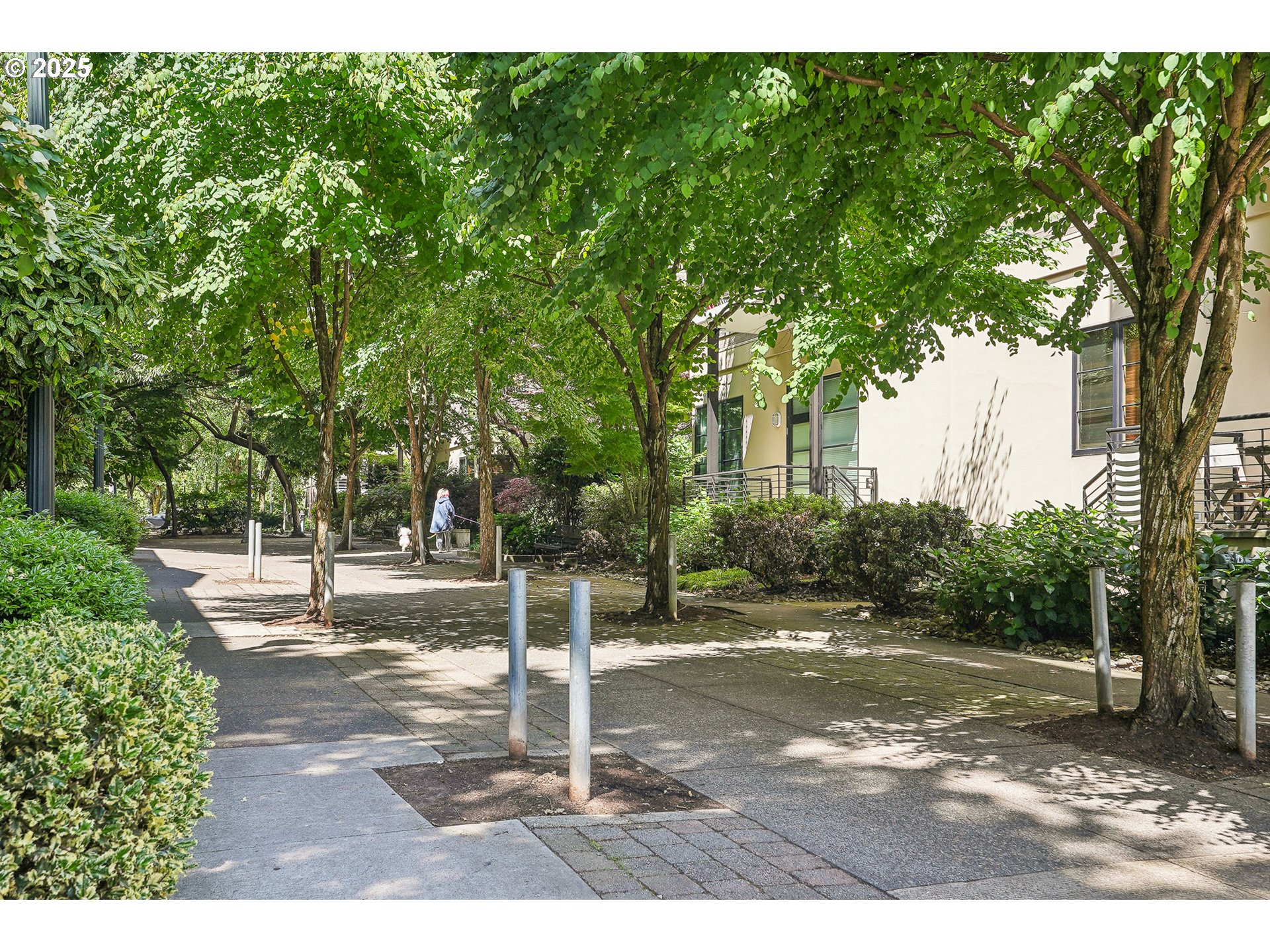 1030 Northwest Johnson Street, Unit 224 Portland, OR 97209 - Photo 32 of 36 a view of a park with a tree