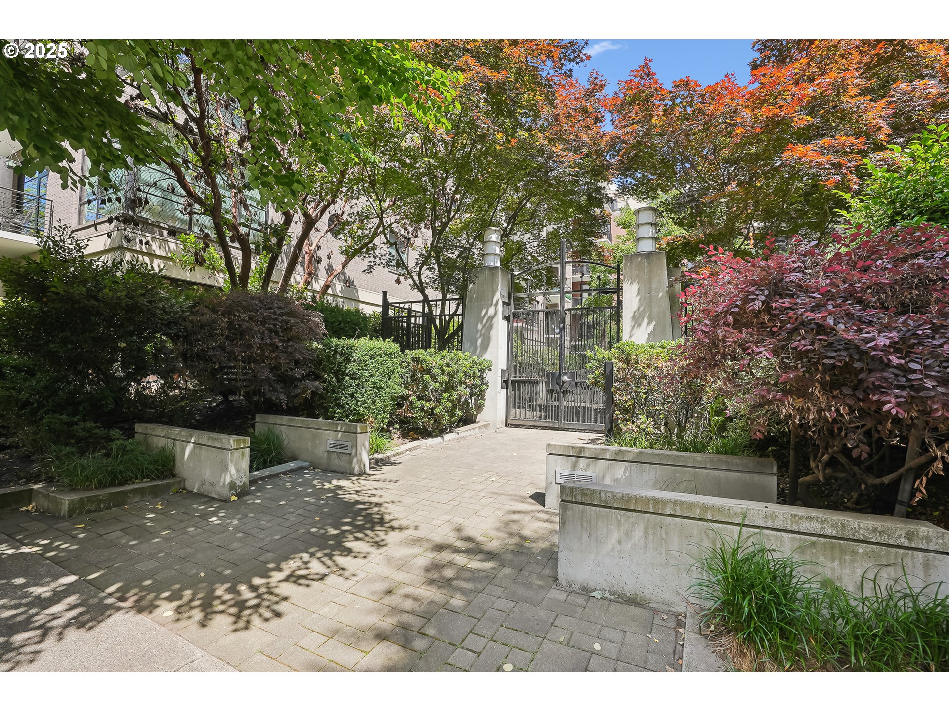1030 Northwest Johnson Street, Unit 224 Portland, OR 97209 - Photo 35 of 36 a view of a backyard with plants and a trees