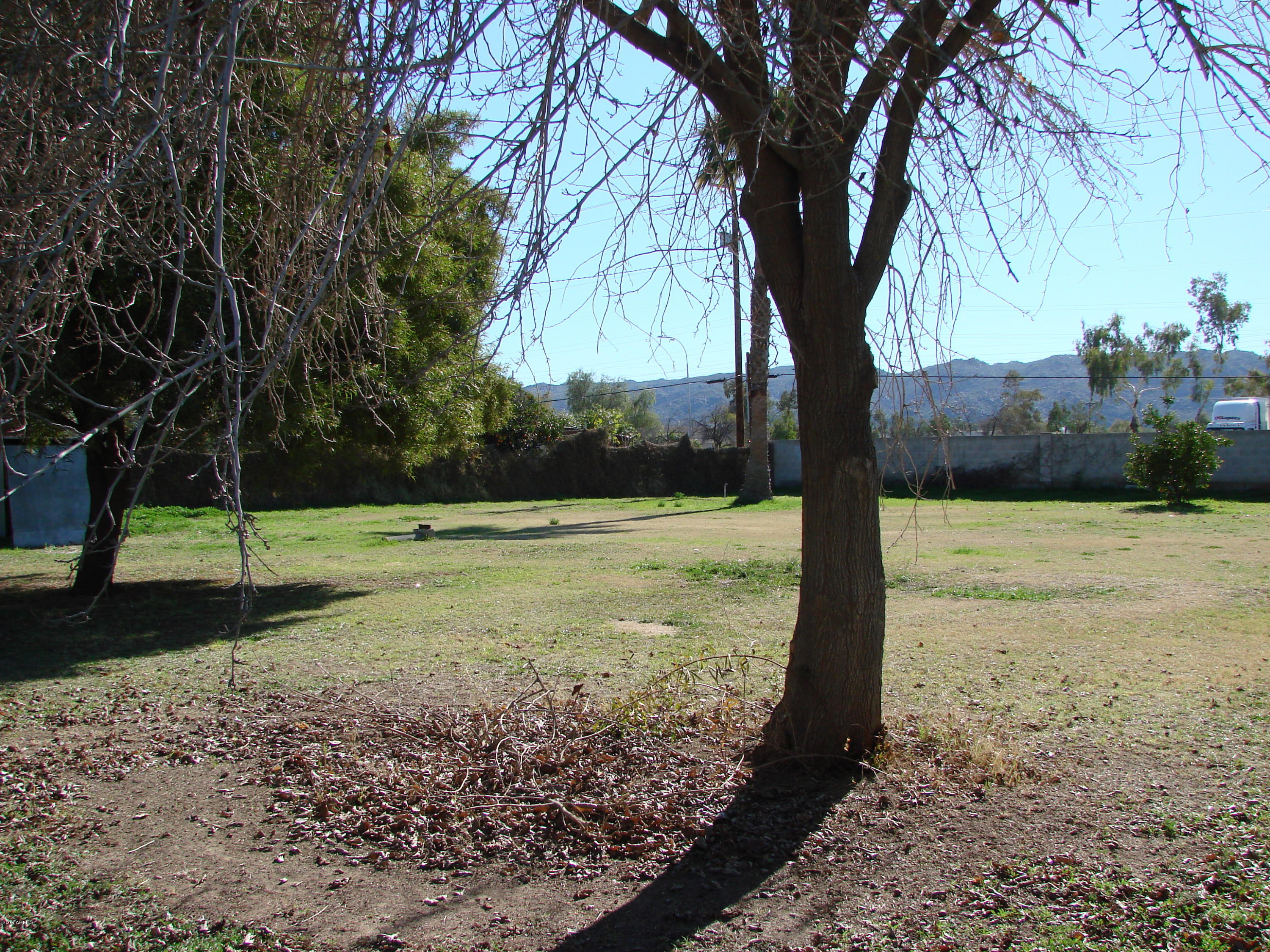 105 East Carter Road Phoenix, AZ 85042 - Photo 3 of 17 DSC02499