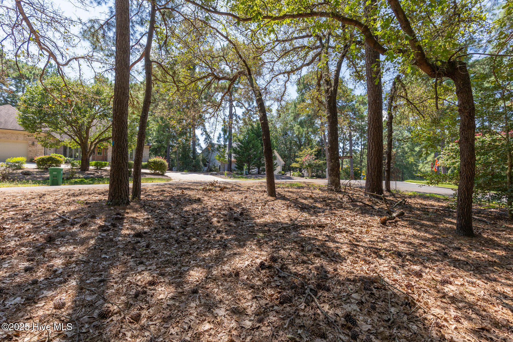 Tbd Turtle Point Road Pinehurst, NC 28374 - Photo 4 of 6 TBD Turtle Pt-5