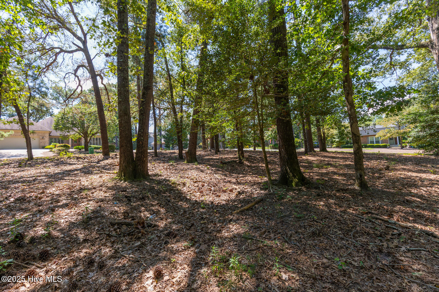 Tbd Turtle Point Road Pinehurst, NC 28374 - Photo 6 of 6 TBD Turtle Pt-8