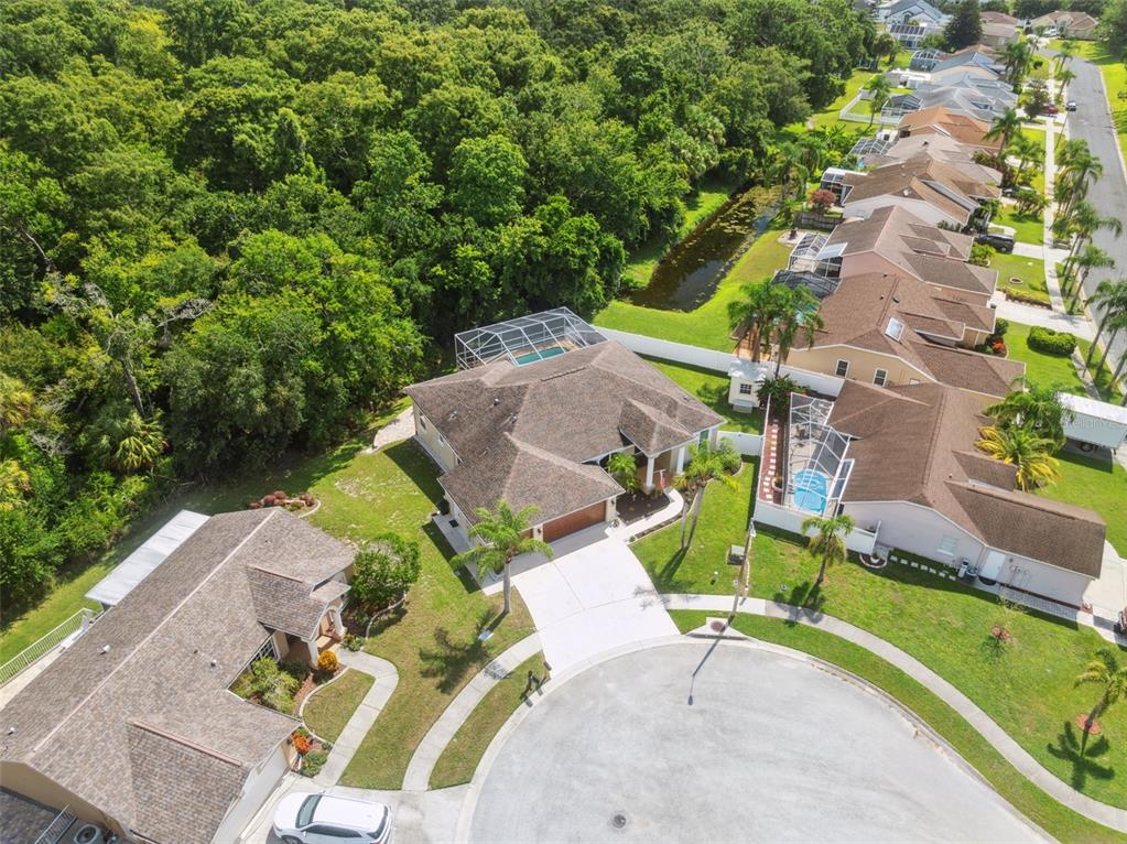 8125 Setters Point Drive New Port Richey, FL 34653 - Photo 35 of 58 Aerial View