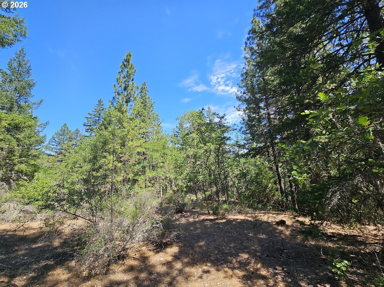 Lovers Lane Lyle, WA 98635 - Photo 19 of 25