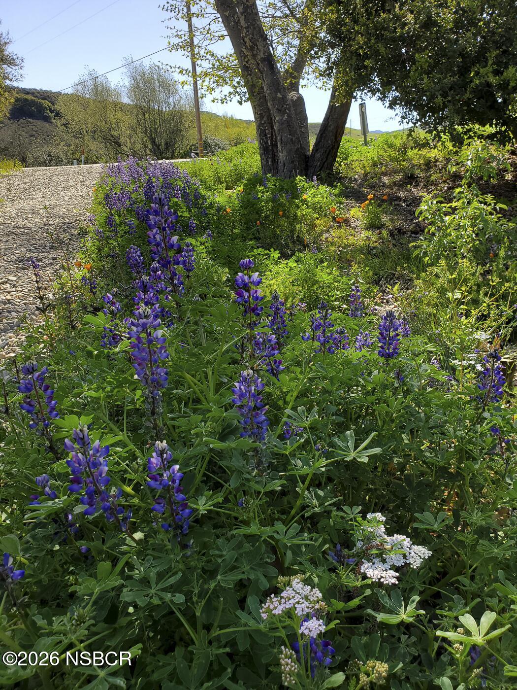 3226 Jalama Road Lompoc, CA 93436 - Photo 25 of 49 23 MLS - 3226 Jalama