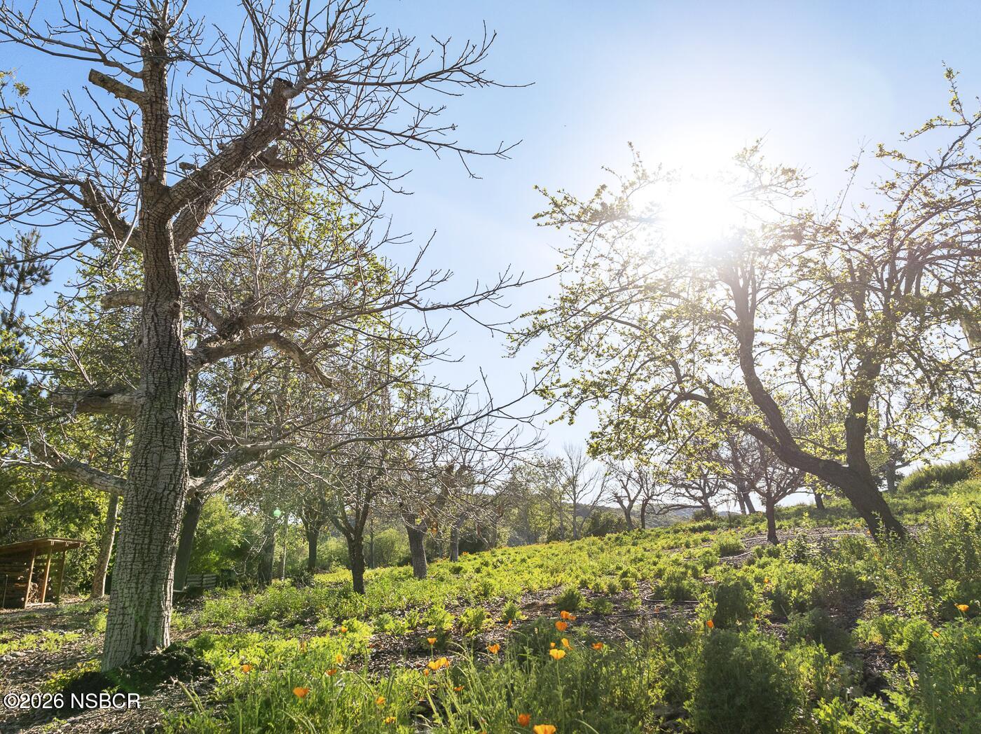 3226 Jalama Road Lompoc, CA 93436 - Photo 26 of 49 24 MLS - 3226 Jalama