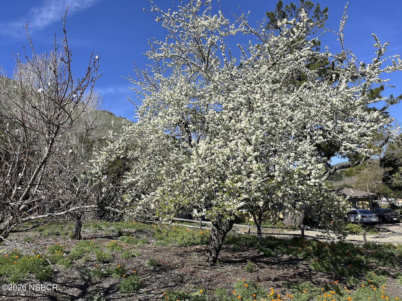 3226 Jalama Road Lompoc, CA 93436 - Photo 44 of 49 42 MLS - 3226 Jalama