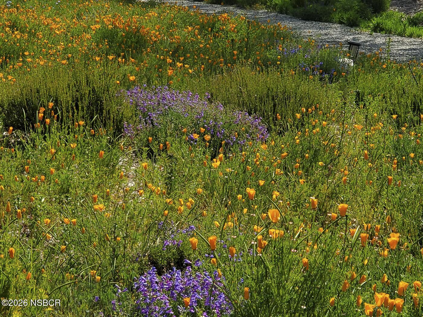 3226 Jalama Road Lompoc, CA 93436 - Photo 45 of 49 43 MLS - 3226 Jalama
