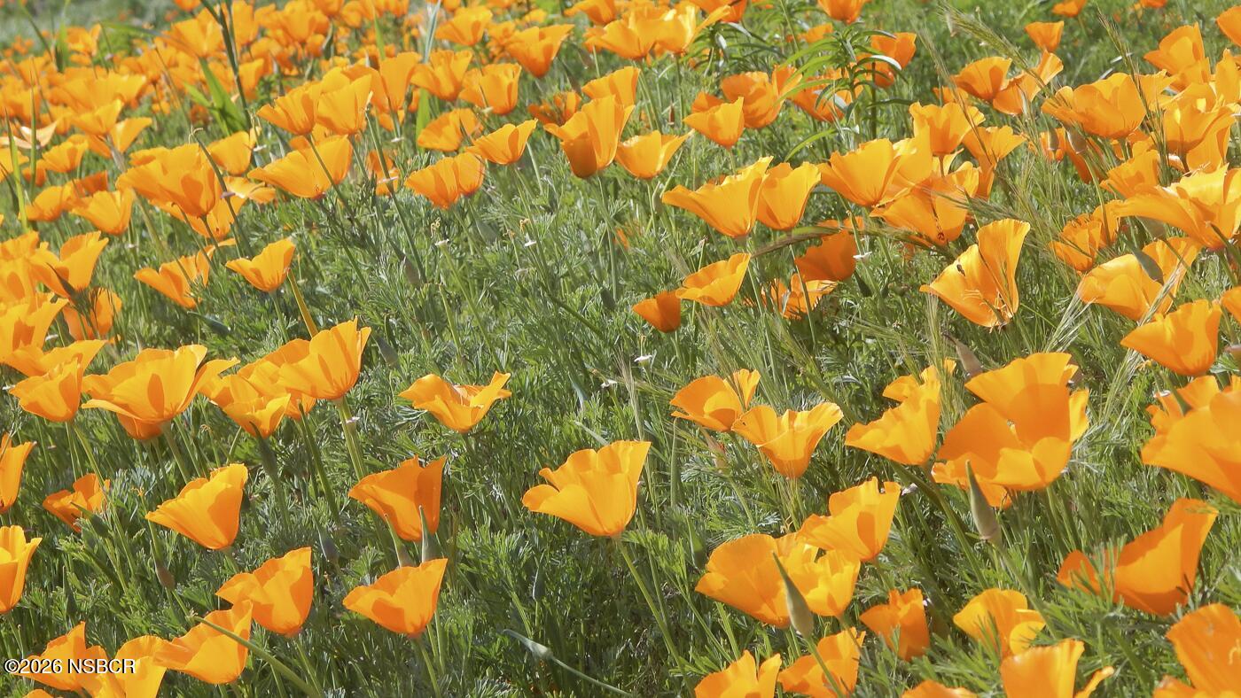 3226 Jalama Road Lompoc, CA 93436 - Photo 46 of 49 44 MLS - 3226 Jalama