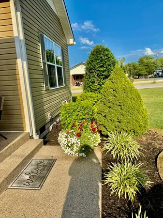 a view of a garden with pathway