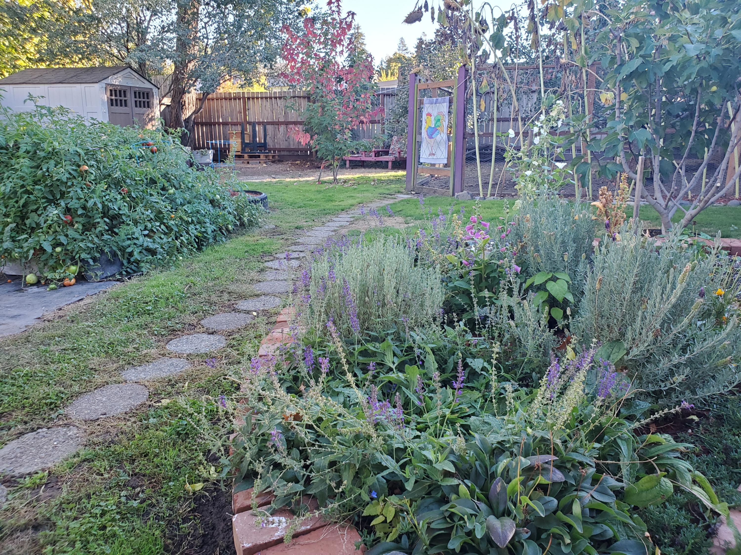 1032 Reddy Avenue Medford, OR 97504 - Photo 15 of 20 a view of a garden in front of a building
