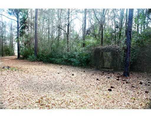 26031 Cooley Road Lucedale, MS 39452 - Photo 25 of 25 Additional Photo