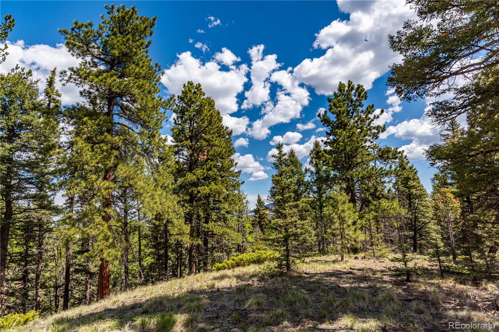 298 Steven Road Canon City, CO 81212 - Photo 10 of 35