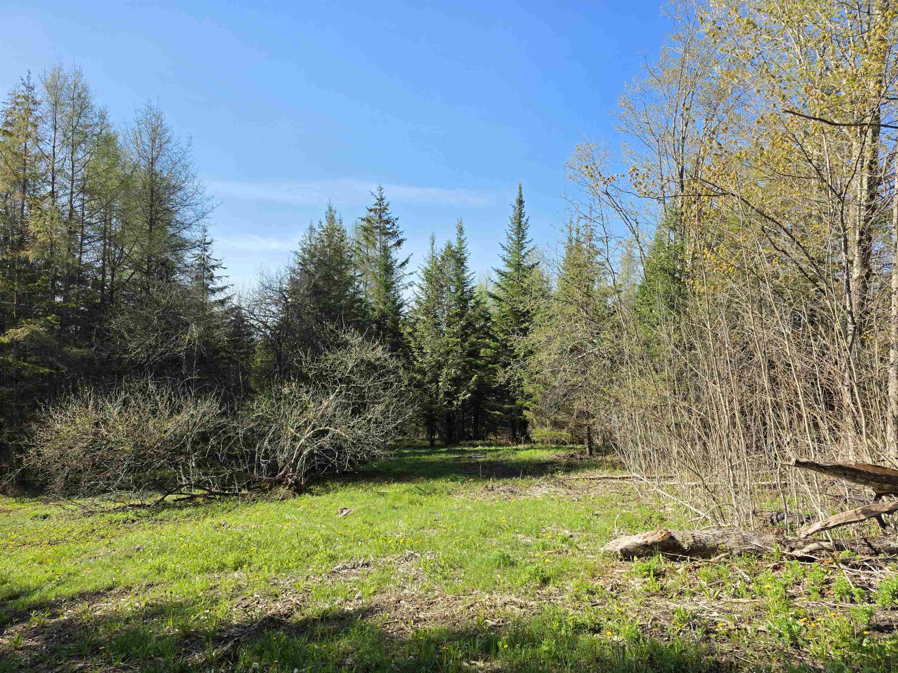 0 Old Coach Road, Unit 4 Lyndonville, VT 05851 - Photo 6 of 31