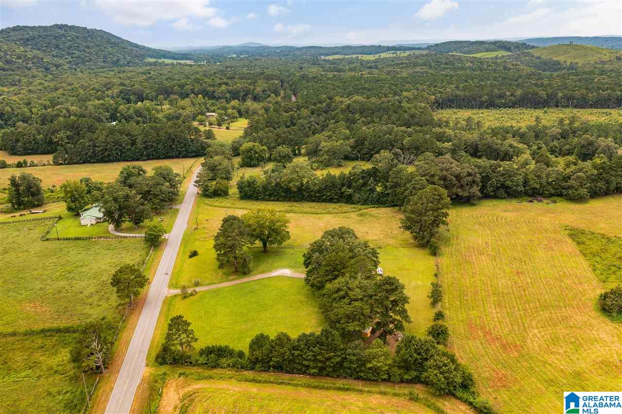 6005 Greensport Road Ashville, AL 35953 - Photo 35 of 36