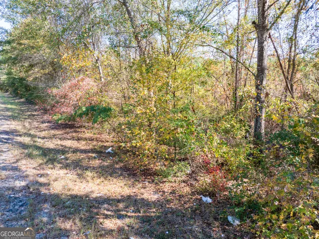 $41,900 | 6.98-acres Brewton Lovett Road, East Dublin, GA 31027