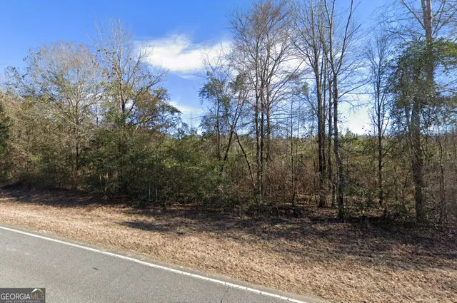 a view of a yard with trees
